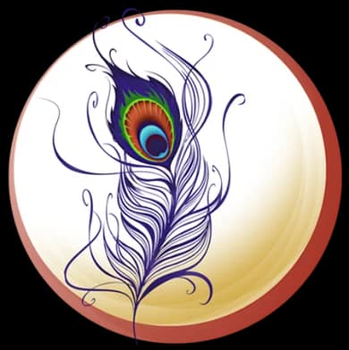 Peacock feather in a chakra circle — Divine Soul Resonance